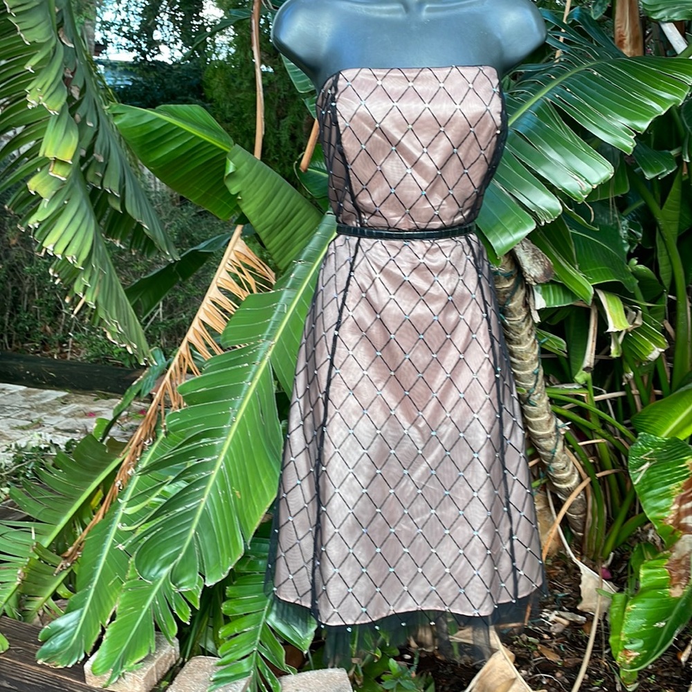 Onyx nite strapless, sheer crinoline dress